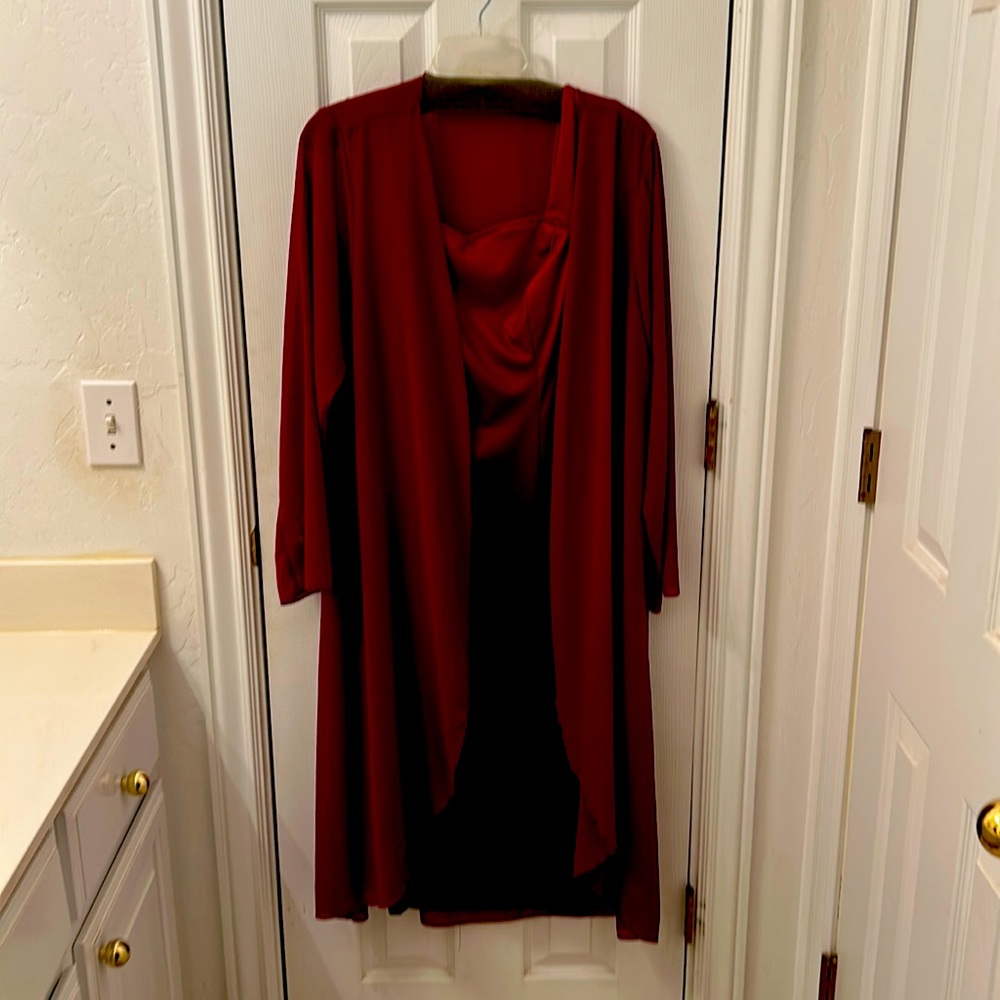 Womans dress. Red. Red shear cover. Side zip.